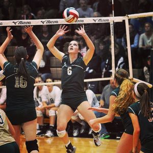Image post by @fgcu_vb on Instagram