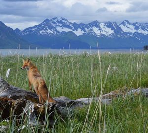 Image post by @nationalparkservice on Instagram