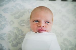 Image post by @rpwphotography_mi on Instagram