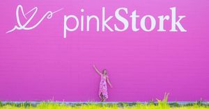 Image post by @pinkstork on Instagram