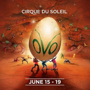 Image post by @XLCenter on Facebook