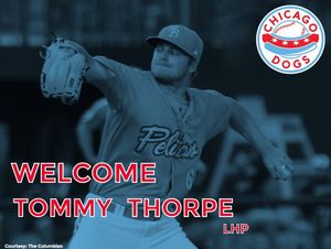 Image post by @thechicagodogs on Instagram