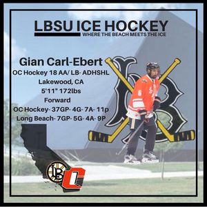 Image post by @lbsuhockey on Instagram