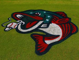 Image post by @gostripers on Instagram