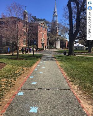 Image post by @wheatonlyons on Instagram