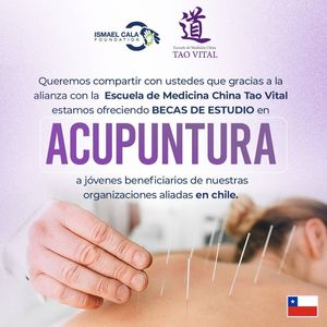 Image post by @calafoundation on Instagram