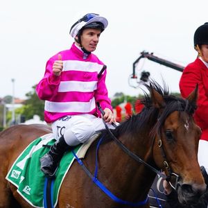 Image post by @australianturfclub on Instagram