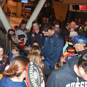 Image post by @adelaide_fc on Instagram