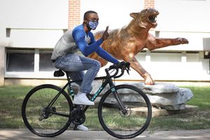 Image post by @uofmemphis on Instagram