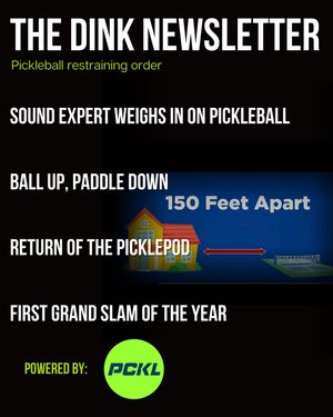 Image post by @thedinkpickleball on Instagram