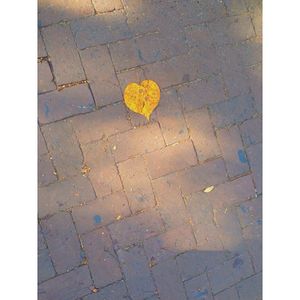 Image post by @collegeofcharleston on Instagram