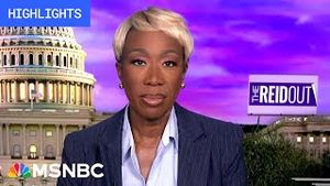 Video post by @msnbc on YouTube