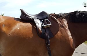 Image post by @performancesaddlefitssthsydney on Instagram