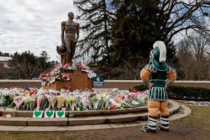 Image post by @kellybraniganphoto on Instagram