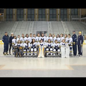 Image post by @umichwhockey on Instagram