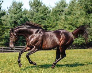 Image post by @spendthriftfarm on Instagram