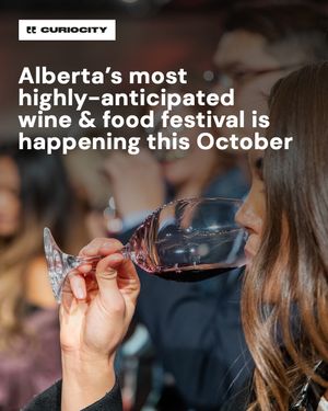 Image post by @curiocitycalgary on Instagram
