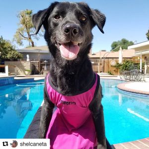 Image post by @arenausa on Instagram