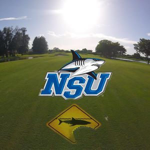 Image post by @nsu_mgolf on Instagram