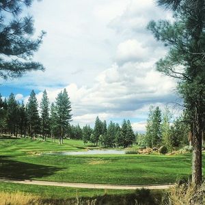 Image post by @barracudachampionship on Instagram