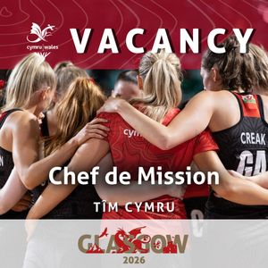 Image post by @team_wales on Instagram