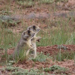 Image post by @nationalparkservice on Instagram