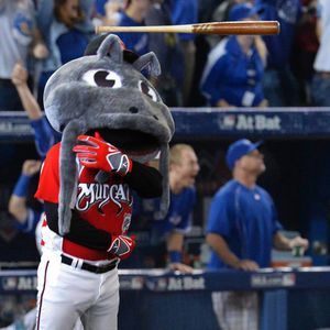 Image post by @carolinamudcats on Instagram