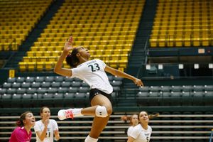 Image post by @wmtribevb on Instagram