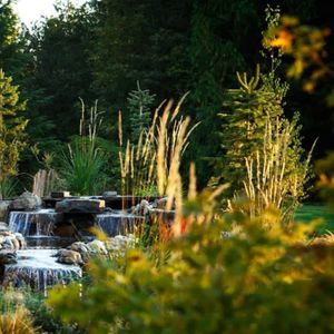 Image post by @alderwoodlandscaping on Instagram