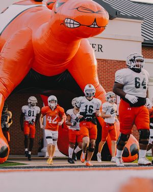 Image post by @gocamels on Instagram