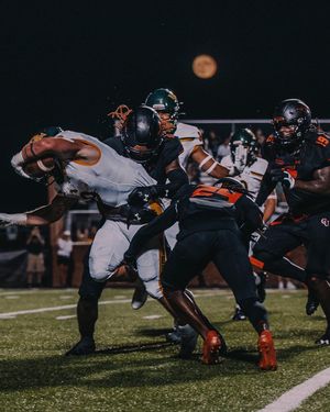 Image post by @gocamelsfb on Instagram