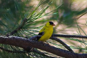 Image post by @ianjacobs.photos on Instagram