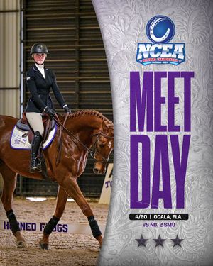 Image post by @tcuequestrian on Instagram