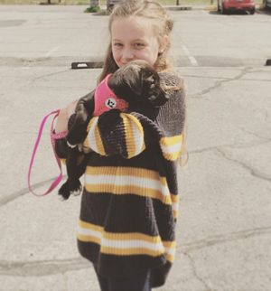 Image post by @spokhumanesoc on Instagram