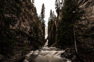 Image post by @anthonypolitano on Instagram