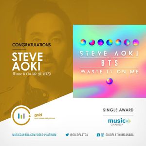 Image post by @steveaoki on Instagram
