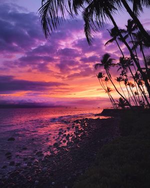 Image post by @slatertrout on Instagram