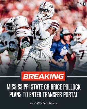 Image post by @transferportal on Instagram