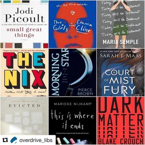 Image post by @stjohnscountylibrary on Instagram
