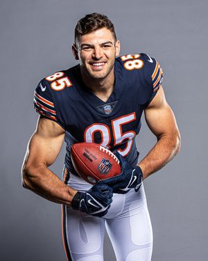 Image post by @bears_es on Instagram