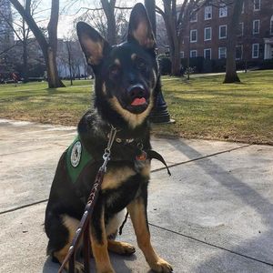 Image post by @rutgersnb on Instagram