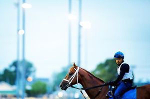 Image post by @michaelmreaves on Instagram