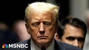 Video post by @msnbc on YouTube