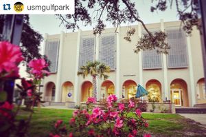 Image post by @officialsouthernmiss on Instagram