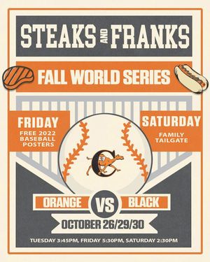 Image post by @gocamelsbsb on Instagram