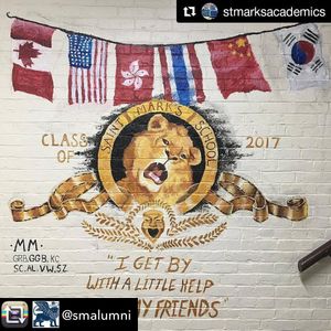 Image post by @smlions on Instagram