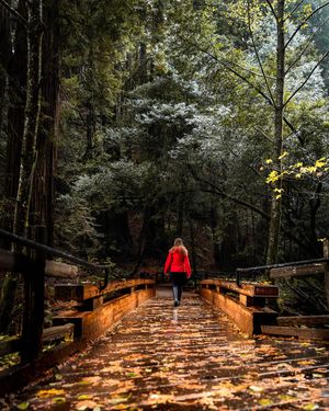 Image post by @_matthewcletus on Instagram