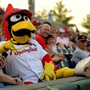Image post by @springfield_cardinals on Instagram