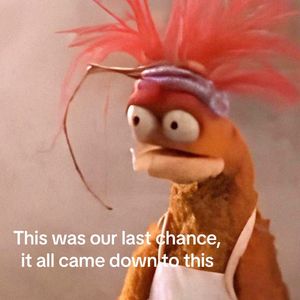 Video post by @srqparadise on TikTok