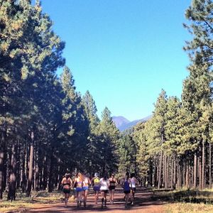 Image post by @nautrackfieldxc on Instagram